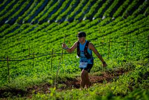 BIB: 2025
                            <button type="button" onclick="openModal(19160798)" class="btn btn-primary btn-sm float-right btn-popup" data-toggle="modal" data-target=".modal-high-quality">
                        <i class="fas fa-shopping-cart"></i> Add to Cart
                    </button>
                                            <button type="button" onclick="isThisMe(19160798, true)" class="btn btn-success btn-sm float-right btn-popup btn-isme hidden" data-toggle="tooltip" data-placement="bottom" title="นี่คือรูปของคุณใช่ไหม คลิกที่นี่เพื่อเอาเข้าอัลบั้ม">
                        <i class="fas fa-plus"></i> Add to album
                    </button>
                    <button type="button" onclick="isThisMe(19160798, false)" class="btn btn-warning btn-sm float-right btn-popup btn-isnotme hidden">
                        <i class="fas fa-ban"></i> Remove from album
                    </button>